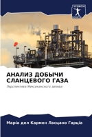 АНАЛИЗ ДОБЫЧИ СЛАНЦЕВОГО ГАЗА 6205799847 Book Cover