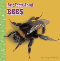 Fast Facts about Bees 1977132642 Book Cover