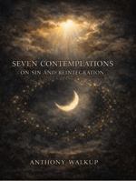 Seven Contemplations: On Sin and Reintegration B0GNFXBDK4 Book Cover