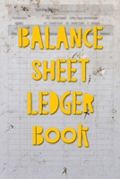 Balance Sheet Ledger Book: The Simple Account Tracker with Superior Check and Debit Card Register 1699790744 Book Cover