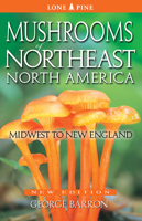 Mushrooms of Northeast North America: Midwest to New England 1772130001 Book Cover