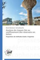 Analyse de Risques Lia(c)S Au Vieillissement Des Ra(c)Servoirs En Ba(c)Ton 3838141105 Book Cover