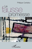 La fausse promesse: Roman (Harmattan Sénégal) (French Edition) 2343088144 Book Cover