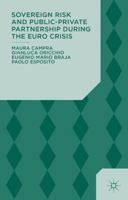 Sovereign Risk and Public-Private Partnership During the Euro Crisis 1137390808 Book Cover