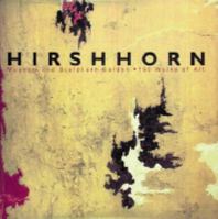 Hirshhorn Museum and Sculpture Garden: 150 Works of Art 0810934361 Book Cover