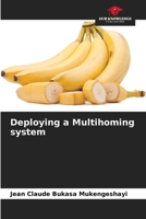 Deploying a Multihoming system 6206218546 Book Cover