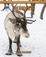 Reindeer: Fun Facts and Amazing Photos about Reindeer B084DNCJ52 Book Cover