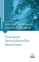 Pratiques interculturelles féministes (Transitions Sociales Et Résistances) (French Edition) 2806132231 Book Cover