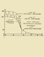 Pulse Pressure Equals The Difference Between Systolic and Diastolic Pressure: Sphygmomanometer Reading | Blood Pressure Meter | Blood Pressure Monitor ... Gauge | Aneroid Gauge | Mercury Manometer B084WHNRDN Book Cover