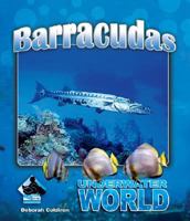 Barracuda (Underwater World) 1604531290 Book Cover