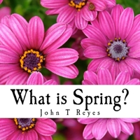 What is Spring? 1987648994 Book Cover