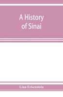 A history of Sinai 9353927064 Book Cover