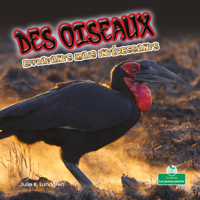 Des Oiseaux Effrayants Mais Int�ressants null Book Cover