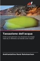 Tassazione dell'acqua: Come si può generare una situazione di sviluppo reale da un elemento così banale come l'acqua? 6205919389 Book Cover