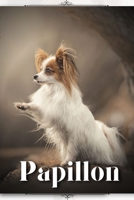 Papillon: Dog breed overview and guide B0C9SH2NDC Book Cover