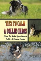 Tips To Calm A Collie Chaos: How To Make Your Chaotic Collie A Calmer Canine: Calm Owner Calm Collie Chaos B09BYPQZCJ Book Cover