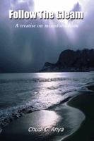 Follow the Gleam: A Treatise on Misinformation 0759631190 Book Cover