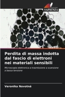 Perdita di massa indotta dal fascio di elettroni nei materiali sensibili (Italian Edition) 6630305094 Book Cover