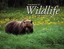 Four Seasons of Widlife: Montana & Yellowstone 1591520797 Book Cover