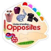 Understanding Opposites. 1907169393 Book Cover