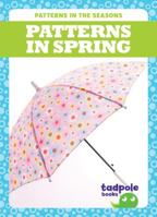 Patterns in Spring 1620317575 Book Cover