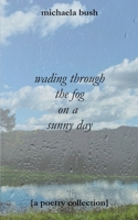 wading through the fog on a sunny day B0CVBBBTSC Book Cover
