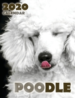 Poodle 2020 Calendar 1642524603 Book Cover