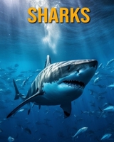 Sharks: Fun Facts Book for Kids B0CF4CW2RX Book Cover