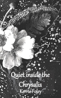 Quiet Inside The Chrysalis B091WJGRN6 Book Cover
