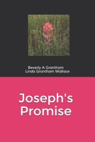 Joseph's Promise 1079530169 Book Cover