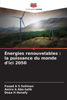 Énergies renouvelables : la puissance du monde d'ici 2050 6205938081 Book Cover