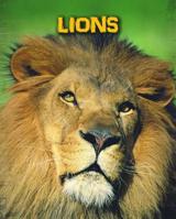 Lions 1432981080 Book Cover