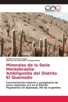 Minerales de la Serie Montebrasita-Ambligonita del Distrito El Quemado (Spanish Edition) 6200022151 Book Cover