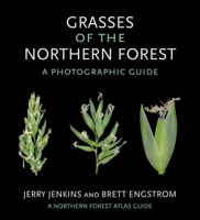 Grasses of the Northern Forest: A Photographic Guide 1501764128 Book Cover