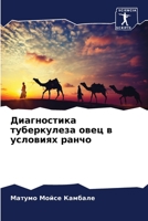 Диагностика туберкулеза овец в условиях ранчо 6206108066 Book Cover