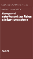 Management Makrookonomischer Risiken in Industrieunternehmen: Moglichkeiten Einer Effektiveren Gestaltung Am Beispiel Des Wahrungsrisikos 3409135707 Book Cover