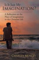 Is It Just My Imagination?: A Reflection on the Place of Imagination in the Christian Life 1543461999 Book Cover
