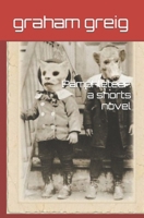 Pamphleteer: a shorts novel 1980254168 Book Cover