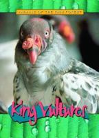 King Vultures (Animals of the Rain Forest) 0739868373 Book Cover