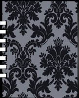 Fitness Competition Body Transformation Guide 1916055591 Book Cover