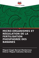 MICRO-ORGANISMES ET RÉGULATION DE LA FERTILISATION PHOSPHORÉE DES BANANES 6205650657 Book Cover