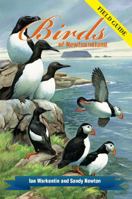 Birds of Newfoundland: Field Guide 0980914426 Book Cover