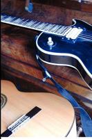 The Songs of D. 1409291324 Book Cover