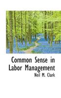 Common Sense in Labor Management 1021962848 Book Cover