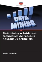 Datamining à l'aide des techniques de réseaux neuronaux artificiels (French Edition) 6208330556 Book Cover