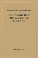 Die Praxis Der Physikalischen Therapie: Ein Lehrbuch Fur Arzte Und Studierende 3709196418 Book Cover