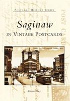 Saginaw In Vintage Postcards (MI) (Postcard History Series) 0738532932 Book Cover
