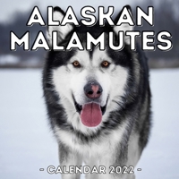 Alaskan Malamutes Calendar 2022: 16-Month Calendar, Cute Gift Idea For Alaskan Malamute Lovers Or Owners Men And Women B09BCCD61R Book Cover