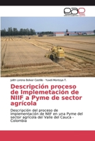 Descripción proceso de Implemetación de NIIF a Pyme de sector agrícola 6200029695 Book Cover