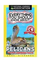 Everything You Should Know About: Pelicans Faster Learning Facts 1974206297 Book Cover